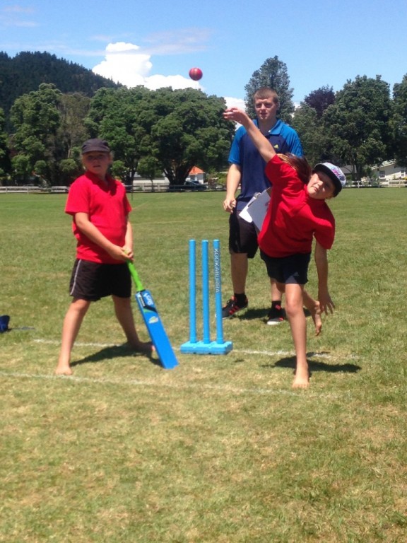 Cricket’s Back at the Bay Oval a Huge Success